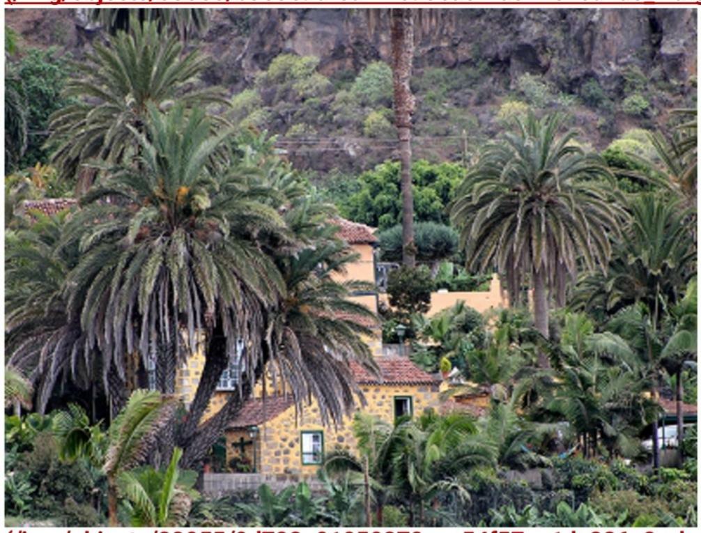 Finca Dona Juana Los Realejos Exterior photo